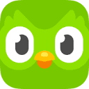 Duolingo Max logo